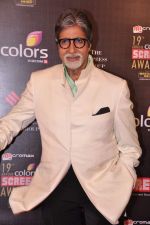 Amitabh Bachchan at Screen Awards red carpet in Mumbai on 12th Jan 2013 (458).JPG